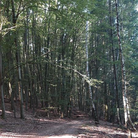 Appartement An Der Bicke Dehringhausen Bagian luar foto