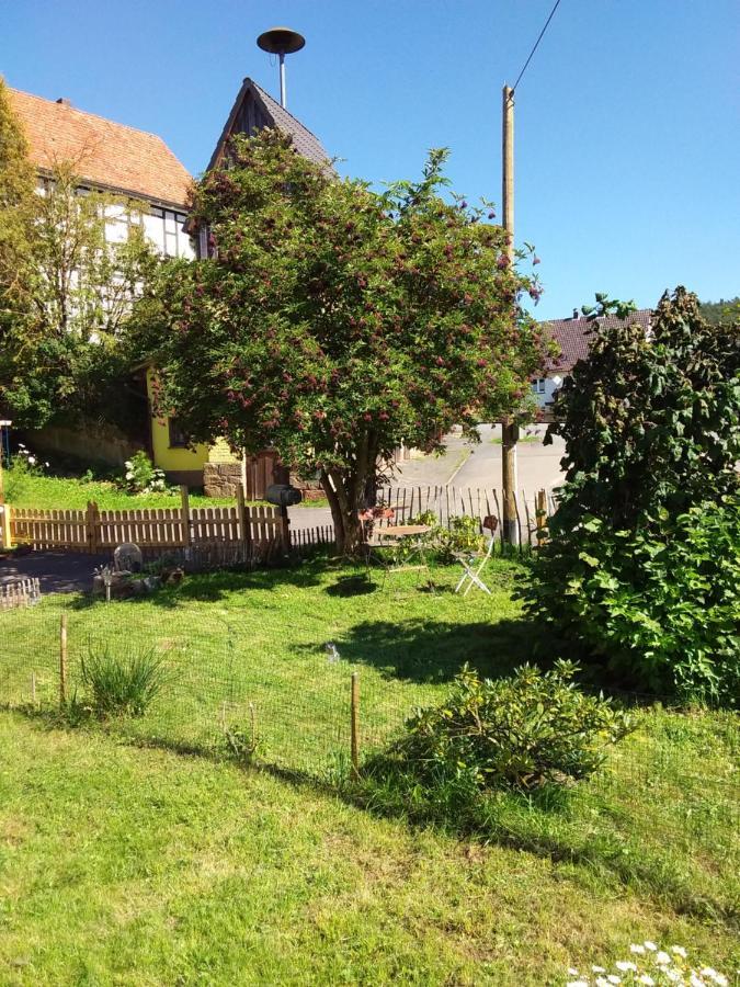 Appartement An Der Bicke Dehringhausen Bagian luar foto