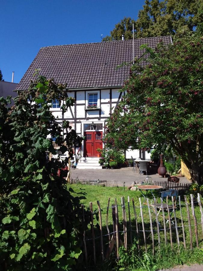 Appartement An Der Bicke Dehringhausen Bagian luar foto