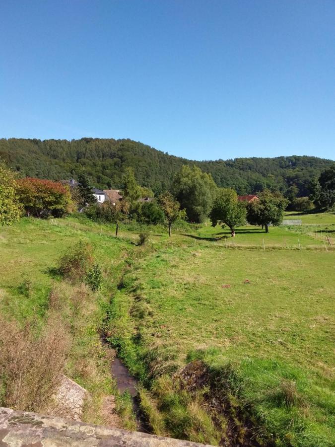 Appartement An Der Bicke Dehringhausen Bagian luar foto