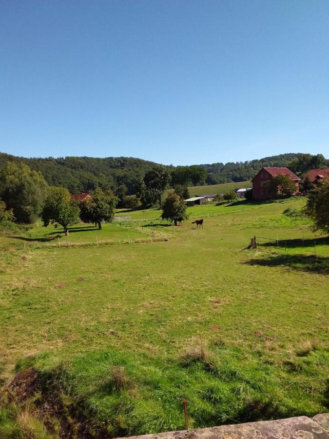 Appartement An Der Bicke Dehringhausen Bagian luar foto