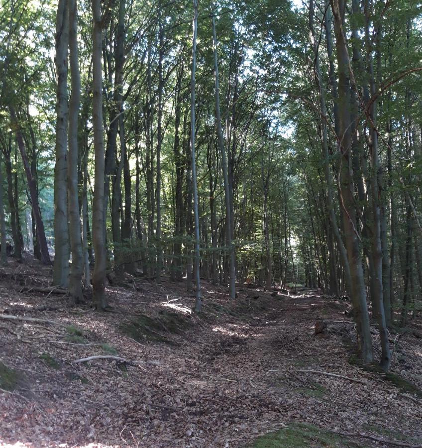 Appartement An Der Bicke Dehringhausen Bagian luar foto